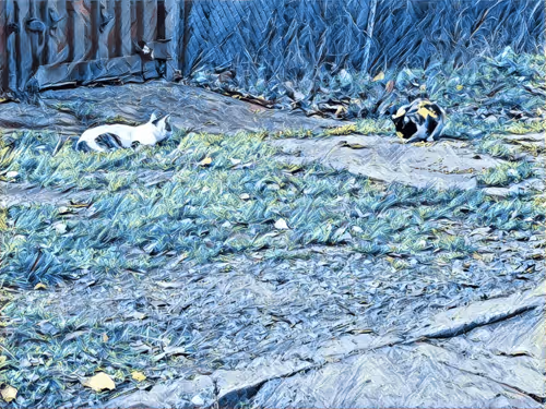 Item #46397680814911453718365897270123246439130732684861044295736256120995597778945 Media