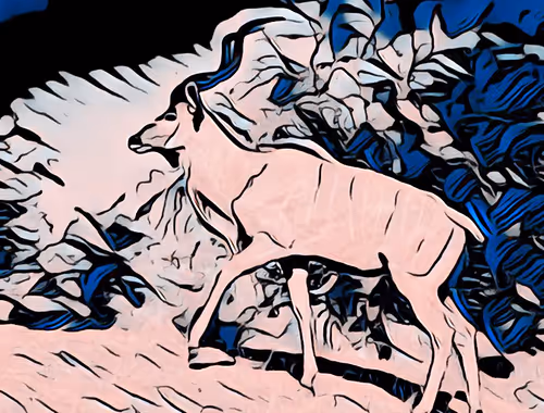 Item #82244815338335975995626956678558285696607744151531562021403392219745567637529 Media