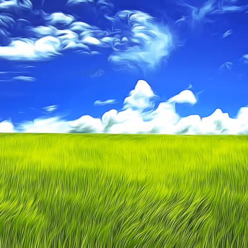 Item #53293942116468401556828473725211609702143921669187691239079210539821737967617 Media