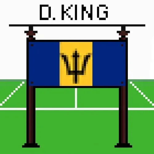 Pixel National Heroes