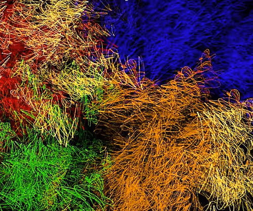 Item #97667747305328880677719999642930270019019806513031101726286666965328714530817 Media