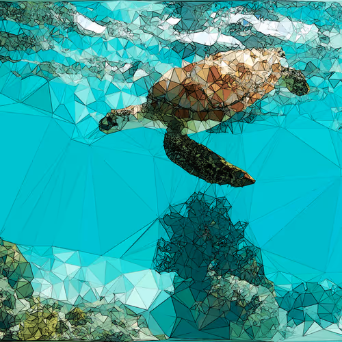 Item #78841231418142414465480757751600348247366621658136762833954179698965627273217 Media