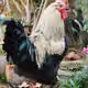 86515702388564116946842246269008357505544892692160175811460688233015111843841