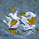 98137748940959555991411726570761023353548566439482017543180387288637895606273
