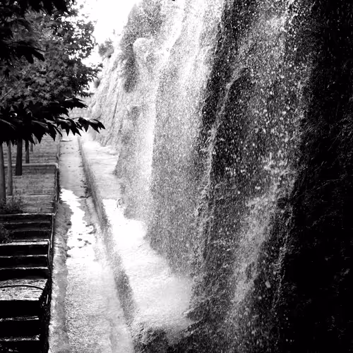 Item #55759144831528513760290913608152882105391237500945405139937590431719704494081 Media