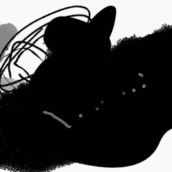 The soft darkness