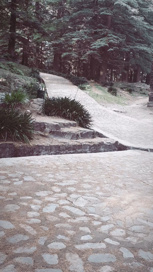 Item #28492546344238997982627040595659913257173957231691920694804582442001944805377 Media