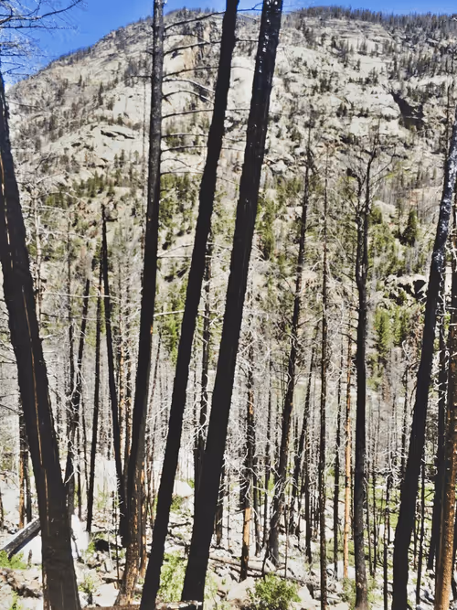 Item #4815288575693755657548734875435737695765998381982163968810255340143086927873 Media