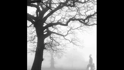 Item #76883760745574205655197458402681017568916246818559535203132427389513829974017 Media