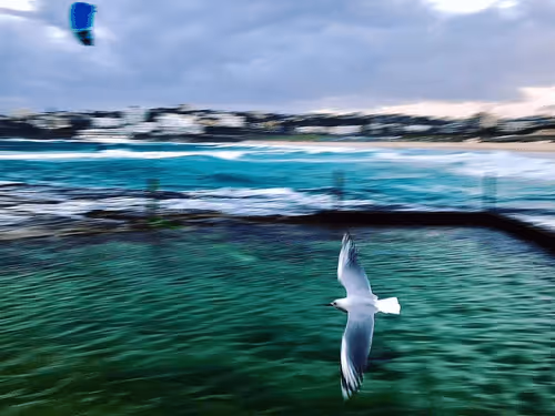 Item #70641947236111363938039942387637040798729651217174983008148147036088466145281 Media