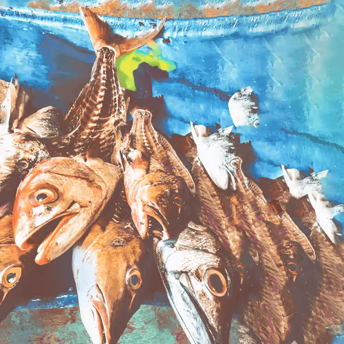 Item #97739092349527437537553261731541372319402862083962837533366648410732561956870 Media