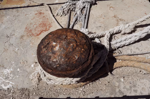 Item #99206175731752603969632246751396839615347692654100145142238794251116061130754 Media