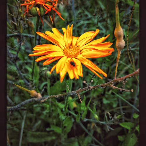 3787080761074609709675817509753112159059746763483256848434353841470407966721