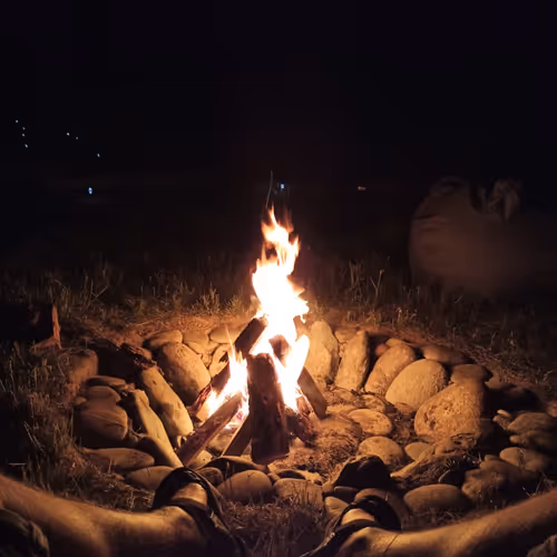 Untitled Collection #444478784