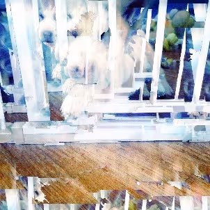 Item #92073704589773361122147966092524804152642586098982844308503816065437271064581 Media