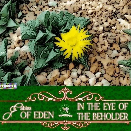 Item #111848979152032696048250741203495729991903103051508547843647447421121539866625 Media