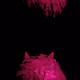 71485698122682176834485308123903742451200999376507711051988872737960157511681