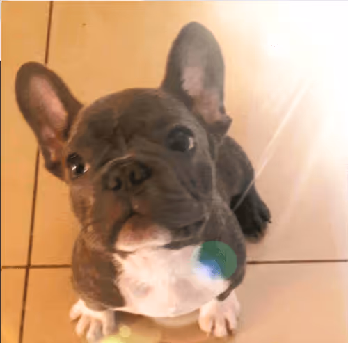 32237202173720727343948986965561335091197107318394763909165930971511306321921