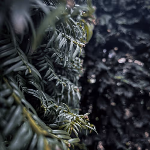 Item #53256051382526806693033333135834754723594393948351704471478678638458115719169 Media