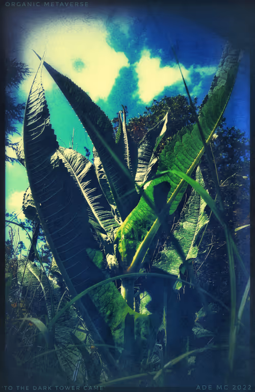 Item #3787080761074609709675817509753112159059746763483256848434353700732919611393 Media