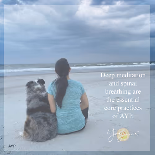 Item #99589875316467410467616575816123039557584291127689137666827262831871270060033 Media