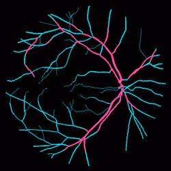 7078802064077755305879053961196844759257248211509687953083586148583111393281