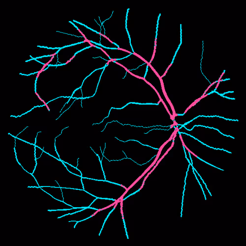 Item #7078802064077755305879053961196844759257248211509687953083586148583111393281 Media