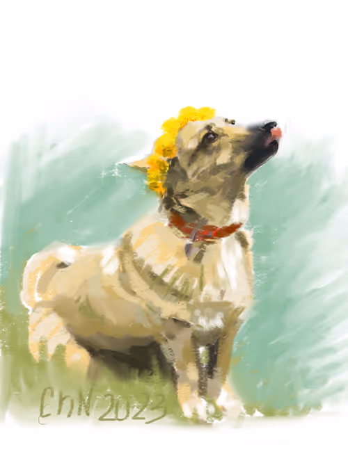 Item #75695192217056034388494061327757939205482691580131126489697338394975880085505 Media