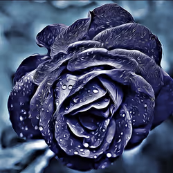 6149779074406706535937189605228961934585844034215787153183181498583401627649