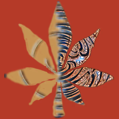 Item #38061558672569619382459871877364344756388492459025547974353264413059129016321 Media