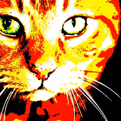 23538819986925566434507765811444276093104658907602947149672917165686556459009