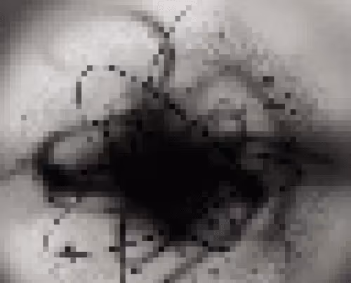 Item #71340293854593644448809437056994947273806785635564671615862603724352884047873 Media