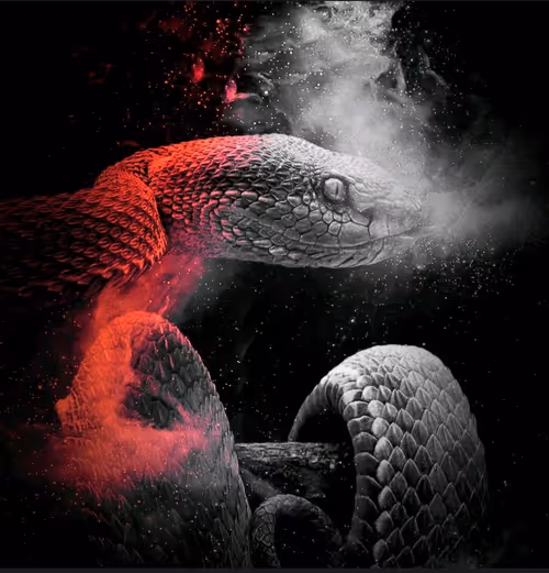 Item #33413414139489287400649870659377334176500574308326117543698477594639717105674 Media