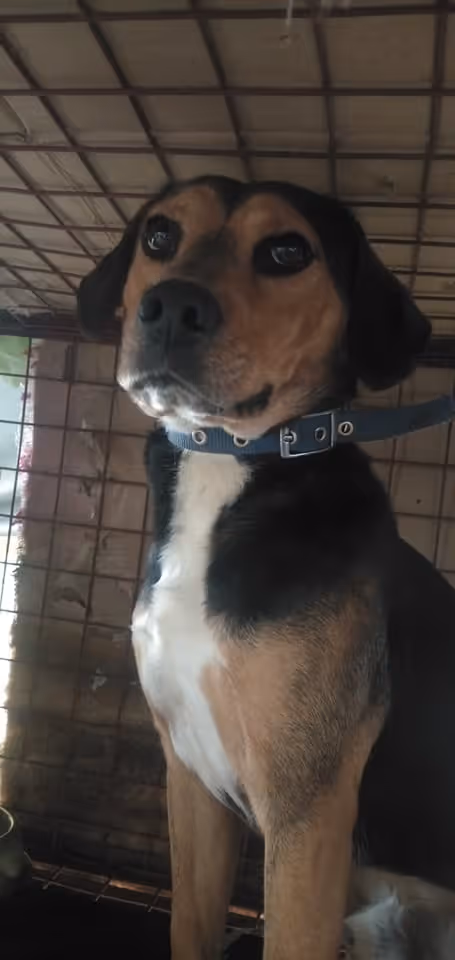 Item #23439807421783349604606688817165201350165750151979961366033252221605665308673 Media