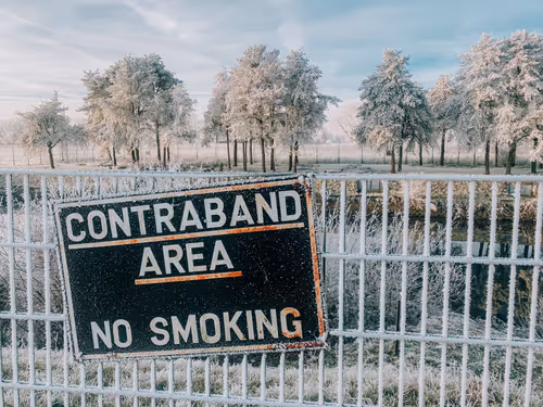 Item #1221306337100687933341799586999295926059352826216580485186700624832000688129 Media