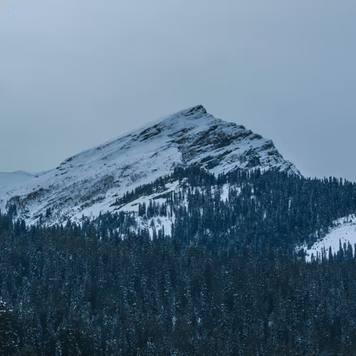 39642702182760733779076736893142354340021633392170204061004215604888557584385