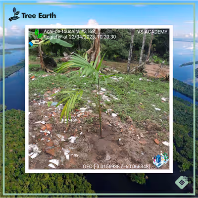 Item #8500196597889277390194123329501889087166328879864934763448349359178476683265 Media