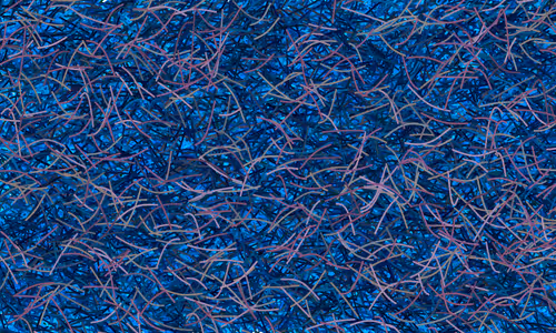 Item #37671797252818830032645010018488858802778721291022166209366081446567976370177 Media