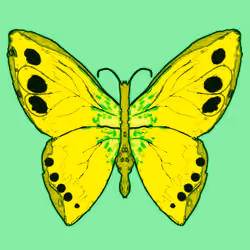 Butterfly #12