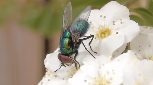 Item #98679578177621649628089872010712381059223698631184272161596299628960458735617 Media