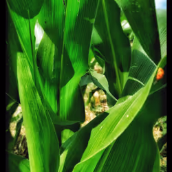 3787080761074609709675817509753112159059746763483256848434353865659663777793