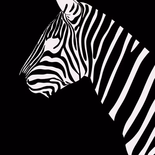 The OG zebra