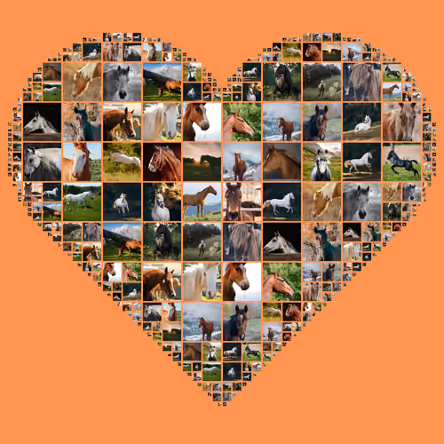 Item #41462631241806899245975872131027530707681054498741750979270365173638844383233 Media