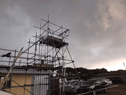 Arsy_family Collection