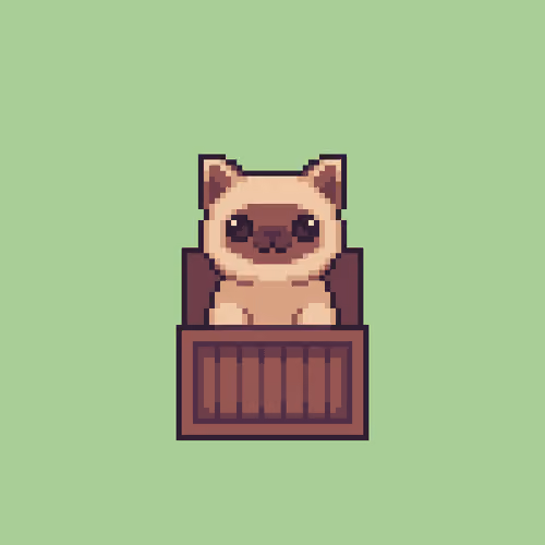 Kitty in Box #006