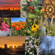Untitled Collection #435796396