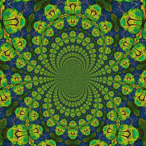 Item #47993365230904546224908061961898398429308184507692648287352000289334114648065 Media