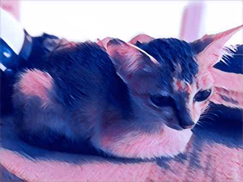 Item #74122138759525378795667626270866148487737655975912799548892276662965985345537 Media