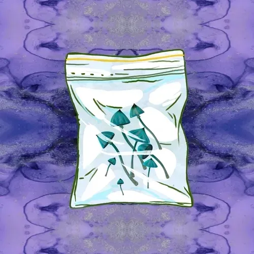 Item #2069498930889069656306054584530658957764801932244471852578113186182824198244 Media