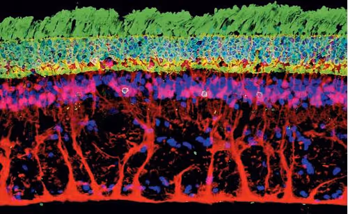 Item #94269245491509990734465210167466884321016156327322156678976395960304434937866 Media